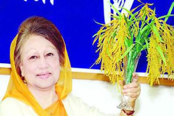 ধানের শীষের প্রচারণা শুরু, শৃঙ্খলা রক্ষায় মাঠে বিএনপির ৩ সংগঠন