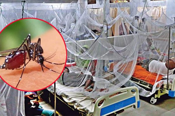 ডেঙ্গুতে আরও ৫ জনের প্রাণহানি